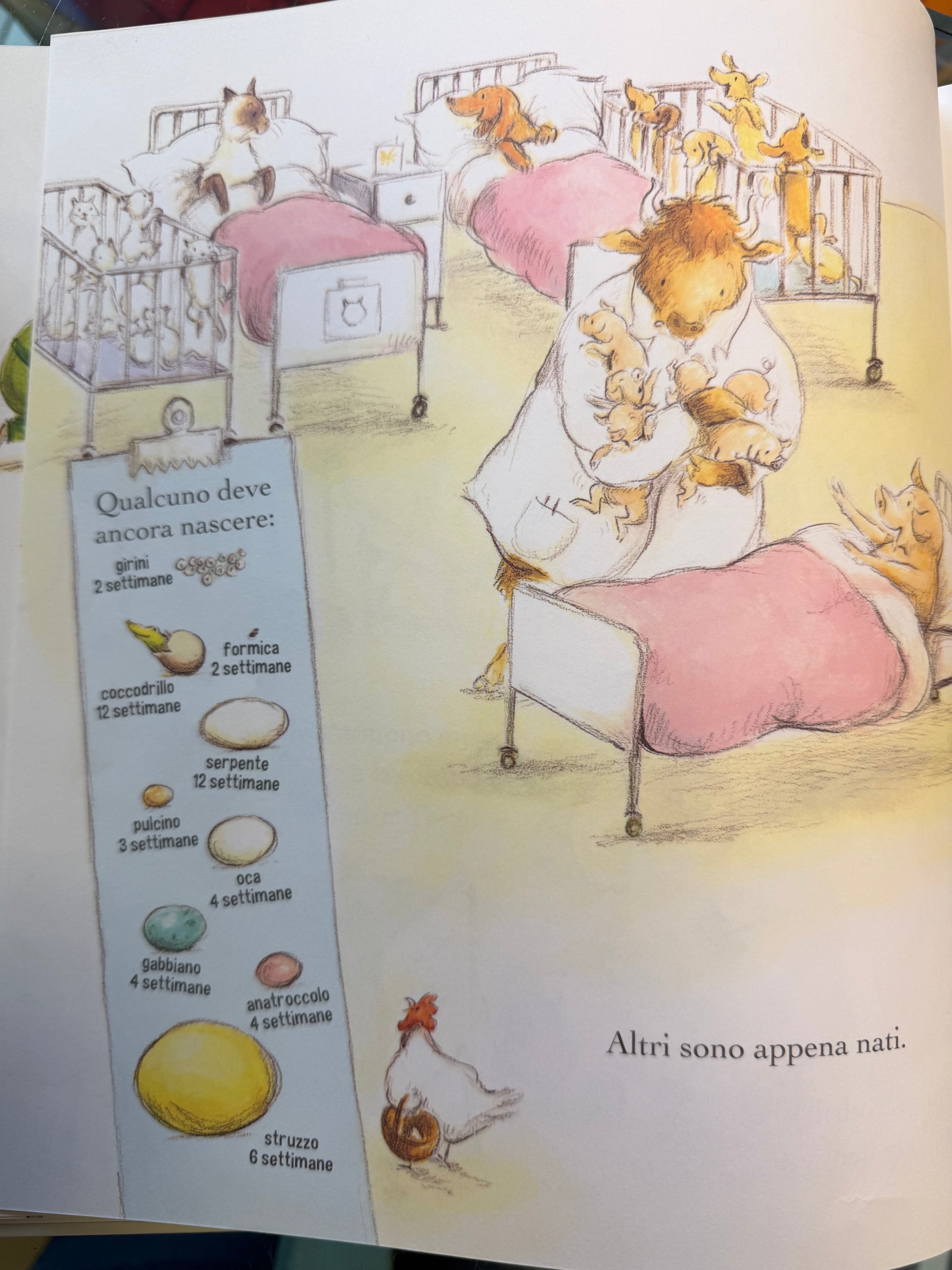 Libro Animali dottori